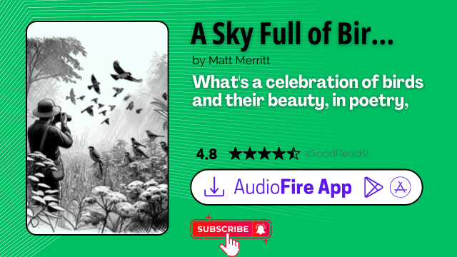 A Sky Full of Birds by Matt Merritt