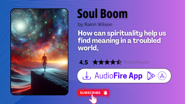 Soul Boom by Rainn Wilson