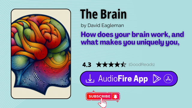 The Brain by David Eagleman
